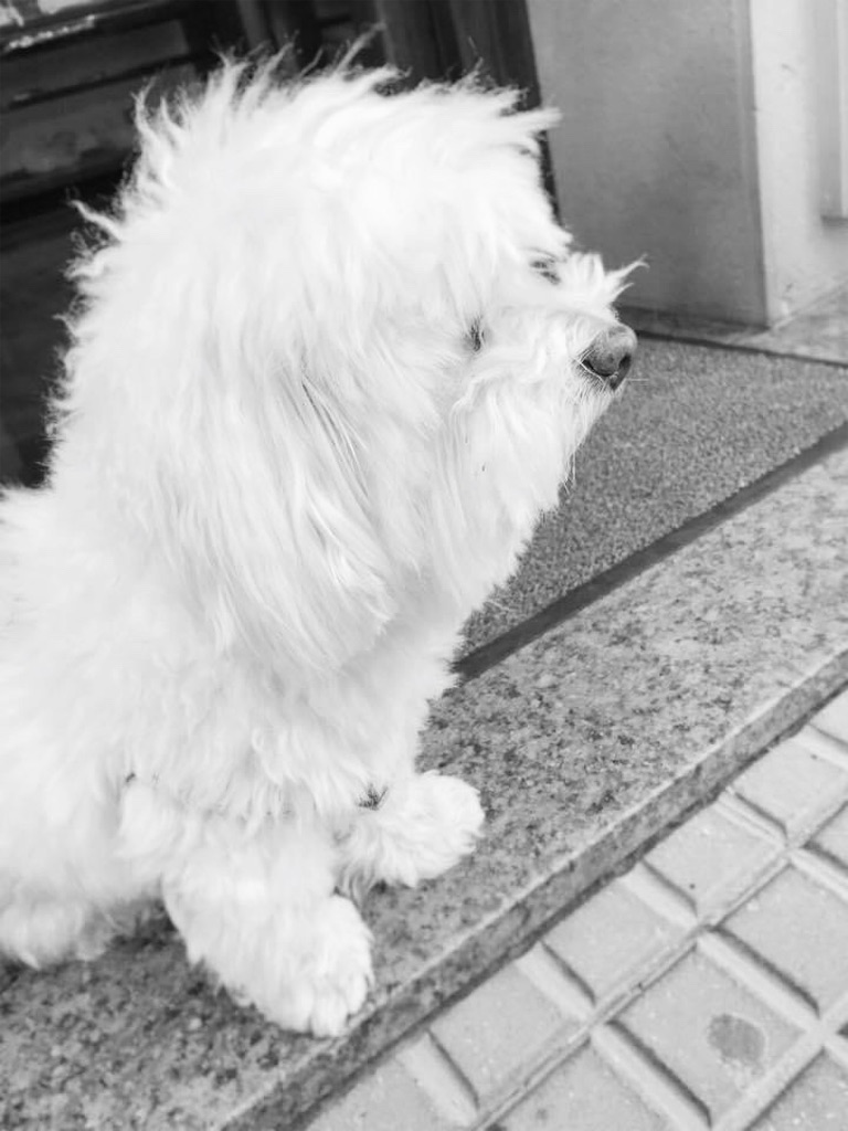 f:id:Yumi11:20200826145302j:image f:id:Yumi11:20200826145302j:image