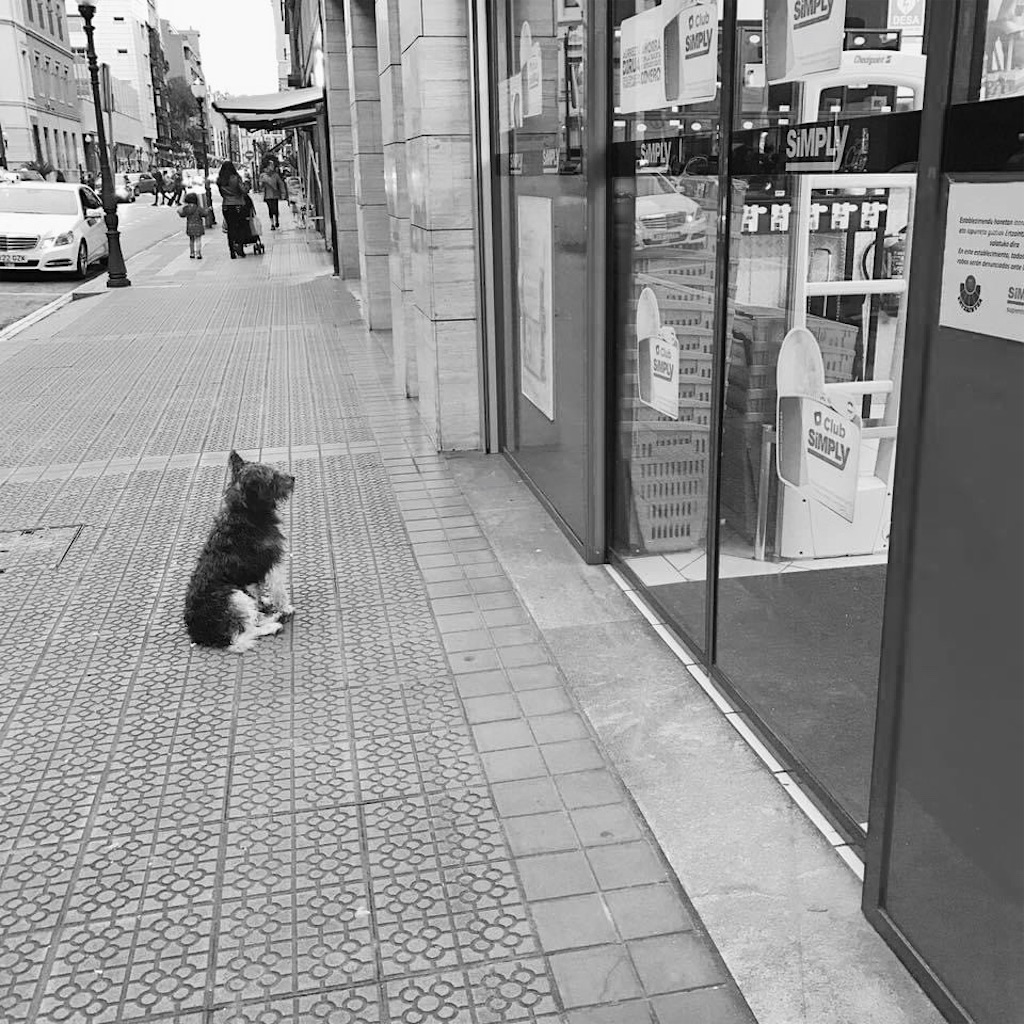 f:id:Yumi11:20200826145407j:image f:id:Yumi11:20200826145407j:image
