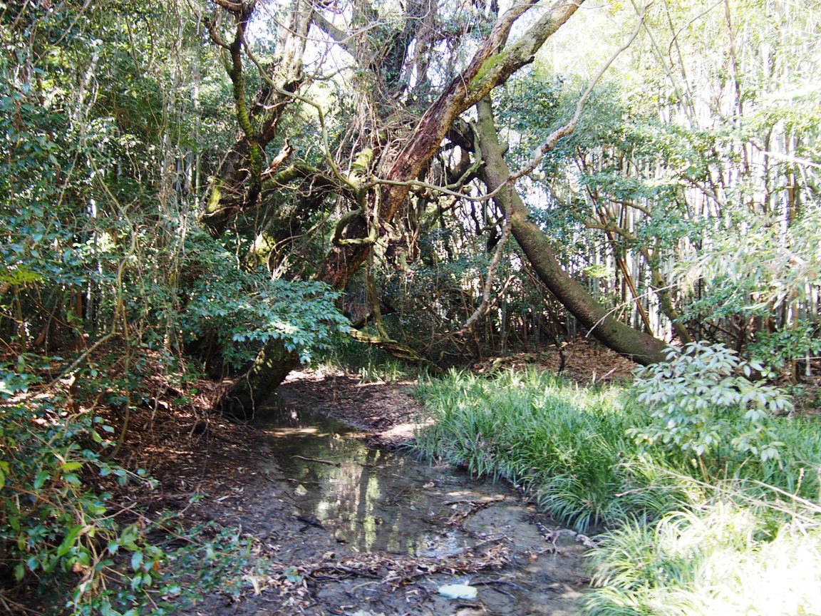 f:id:YumiAIKAWA:20190815072906j:plain f:id:YumiAIKAWA:20190815072906j:plain