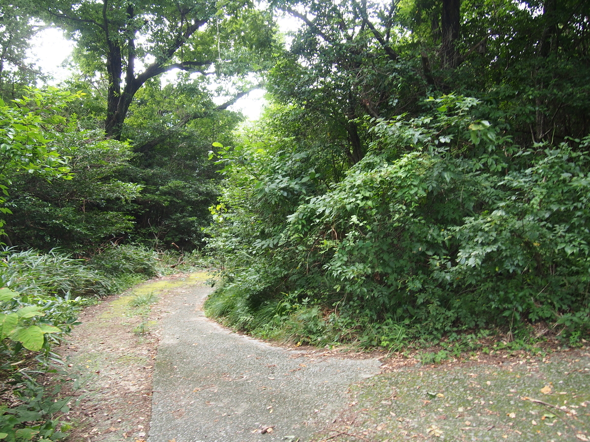 f:id:YumiAIKAWA:20190912114908j:plain