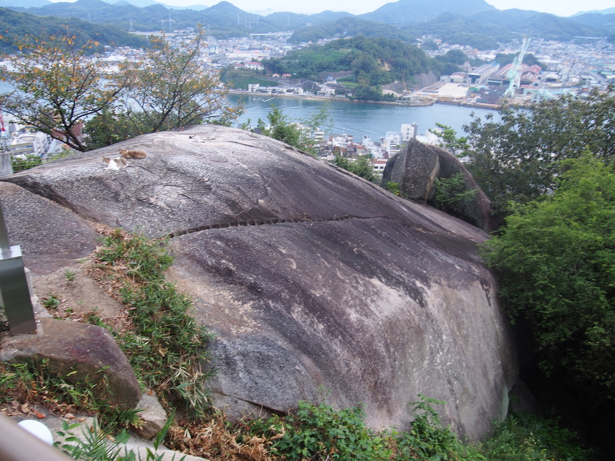 f:id:YumiAIKAWA:20191007192135j:plain f:id:YumiAIKAWA:20191007192135j:plain
