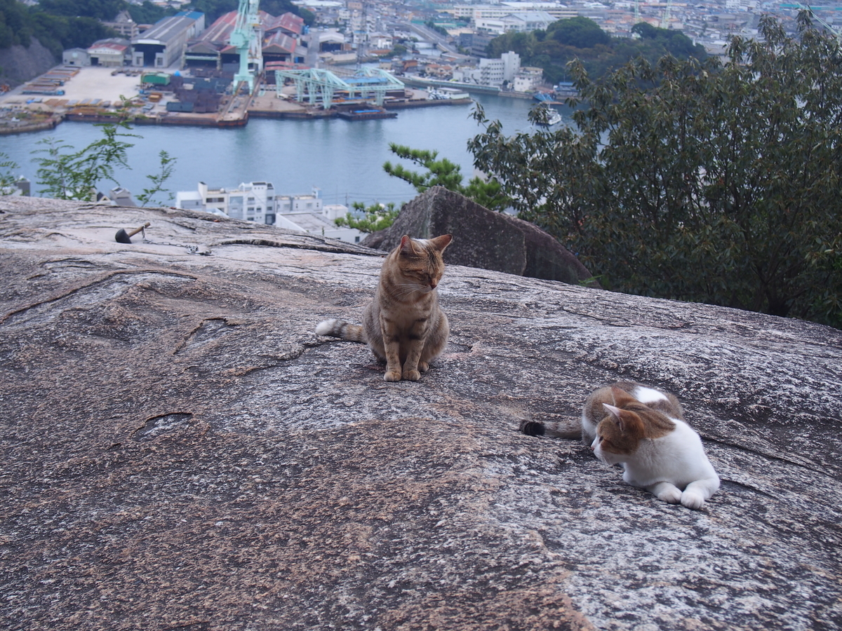 f:id:YumiAIKAWA:20191007205524j:plain f:id:YumiAIKAWA:20191007205524j:plain