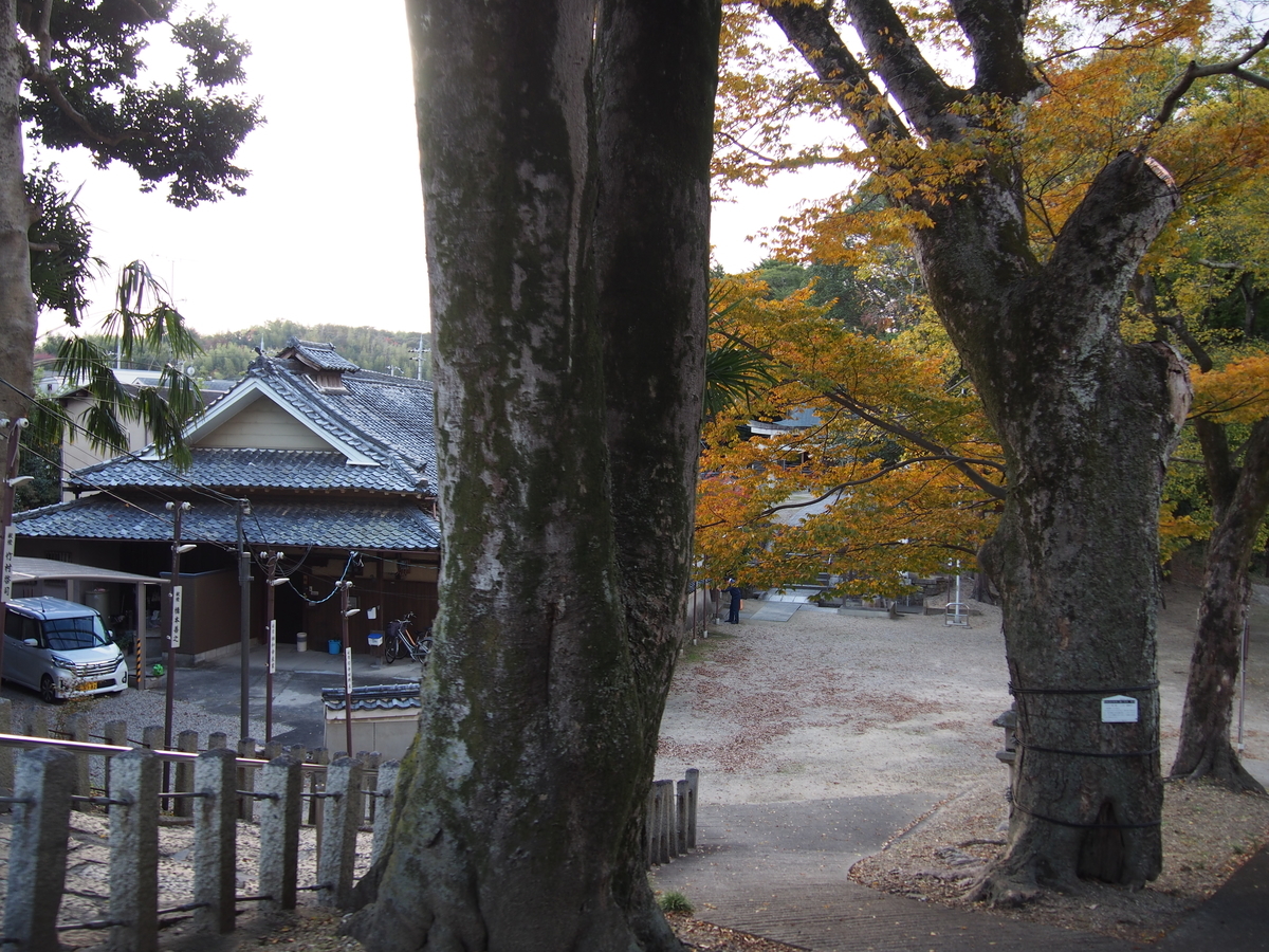 f:id:YumiAIKAWA:20191117220759j:plain f:id:YumiAIKAWA:20191117220759j:plain