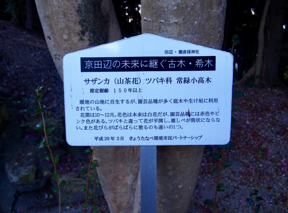 f:id:YumiAIKAWA:20191117222933j:plain f:id:YumiAIKAWA:20191117222933j:plain
