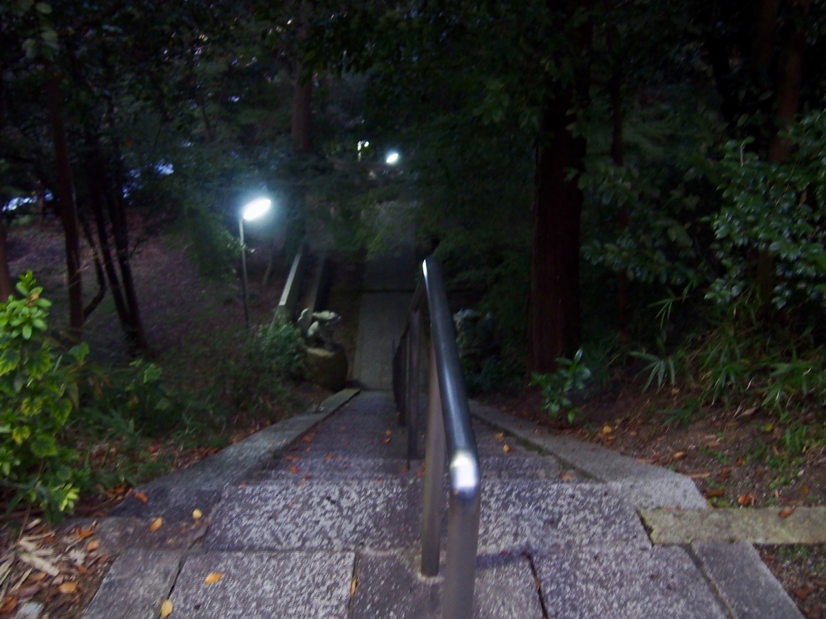 f:id:YumiAIKAWA:20191118021815j:plain f:id:YumiAIKAWA:20191118021815j:plain
