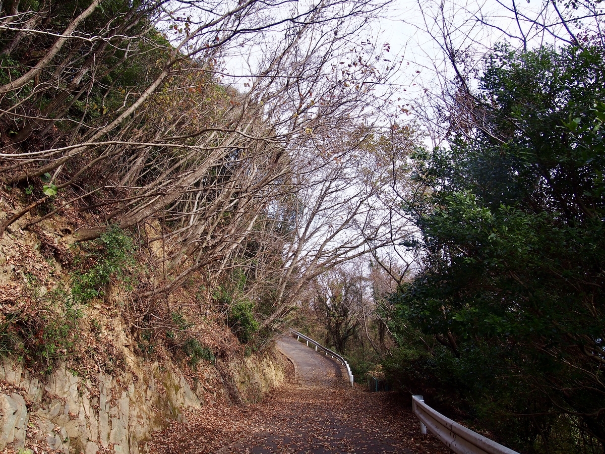 f:id:YumiAIKAWA:20191222170007j:plain f:id:YumiAIKAWA:20191222170007j:plain