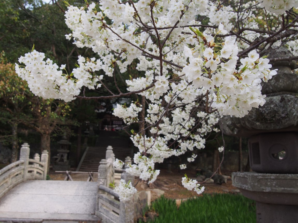 f:id:YumiAIKAWA:20200314190706j:plain f:id:YumiAIKAWA:20200314190706j:plain