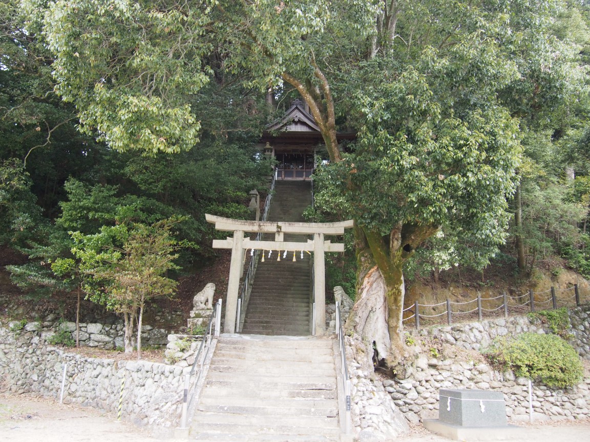 f:id:YumiAIKAWA:20200325033839j:plain f:id:YumiAIKAWA:20200325033839j:plain