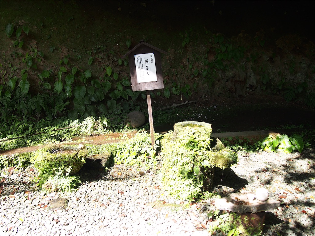 f:id:YumiAIKAWA:20200920231544j:image f:id:YumiAIKAWA:20200920231544j:image
