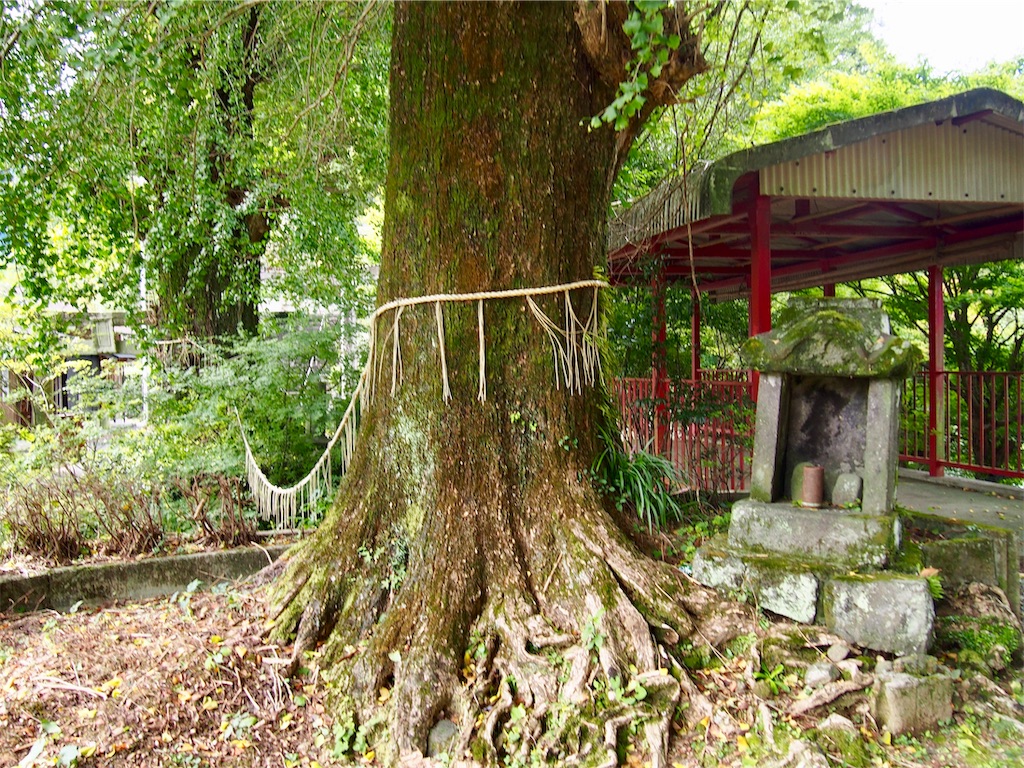 f:id:YumiAIKAWA:20200920235251j:image f:id:YumiAIKAWA:20200920235251j:image