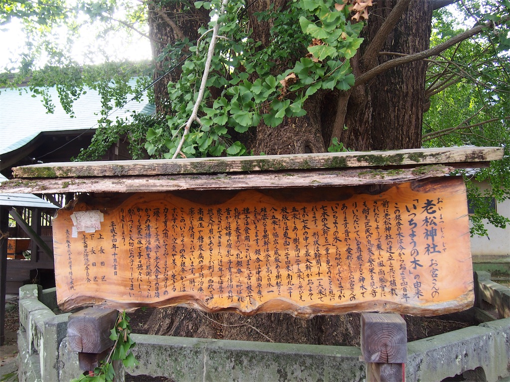 f:id:YumiAIKAWA:20200921021249j:image f:id:YumiAIKAWA:20200921021249j:image