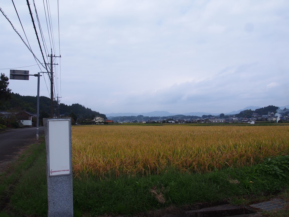 f:id:YumiAIKAWA:20201013072559j:plain f:id:YumiAIKAWA:20201013072559j:plain