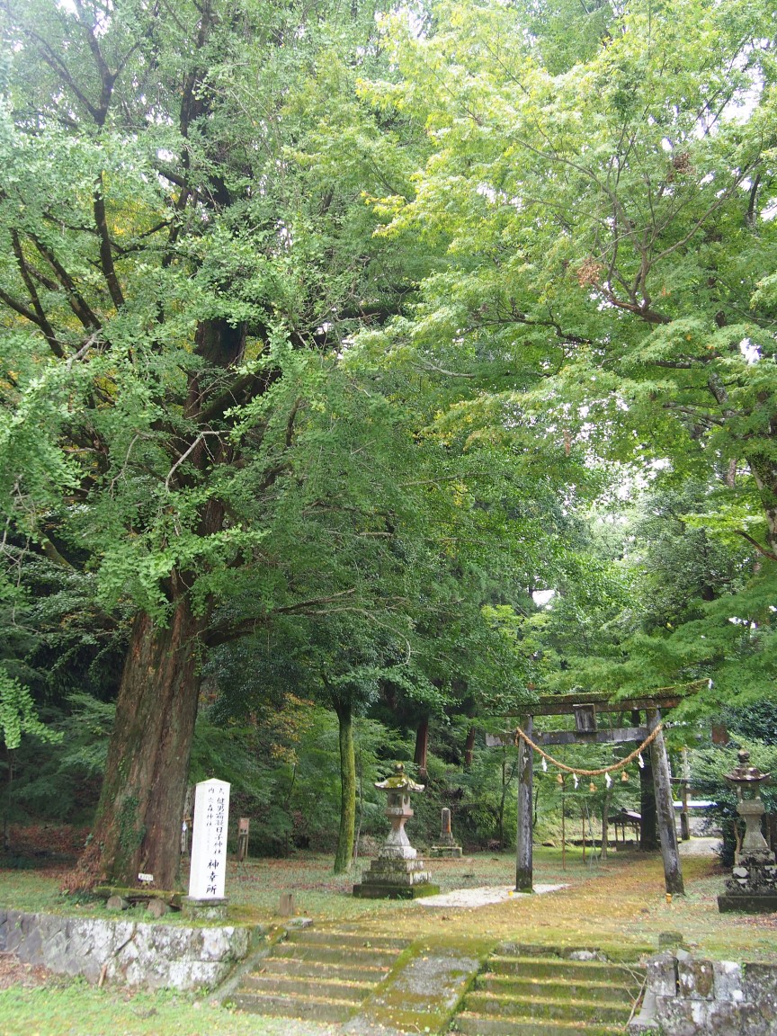 f:id:YumiAIKAWA:20201013075207j:plain f:id:YumiAIKAWA:20201013075207j:plain