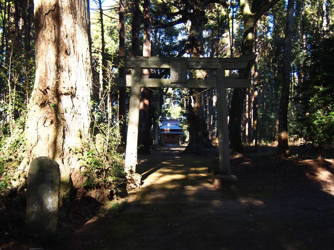 f:id:YumiAIKAWA:20201222053400j:plain