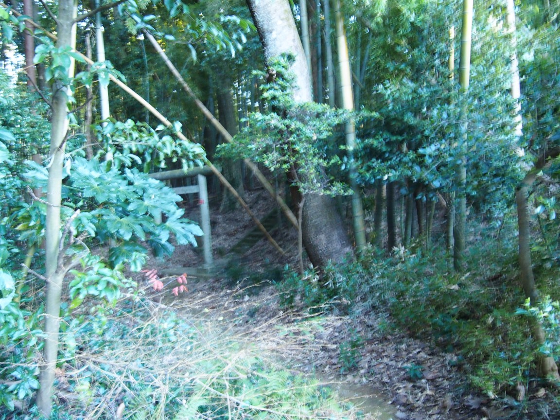 f:id:YumiAIKAWA:20201222081306j:plain