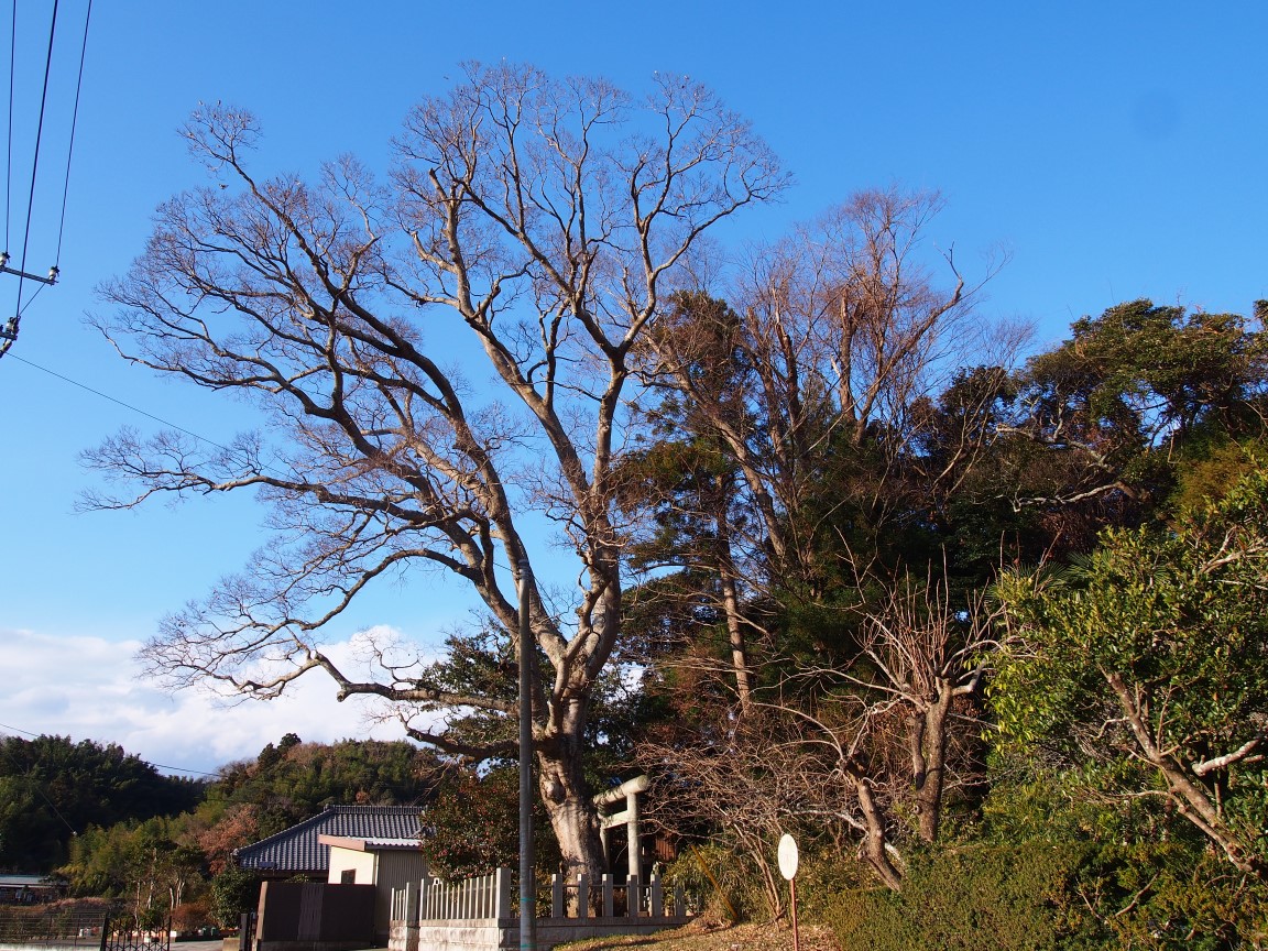 f:id:YumiAIKAWA:20201225220755j:plain