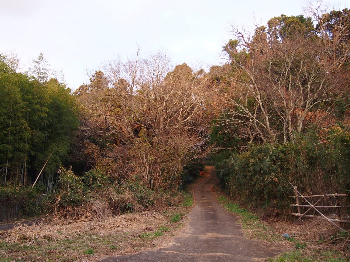 f:id:YumiAIKAWA:20201225225807j:plain