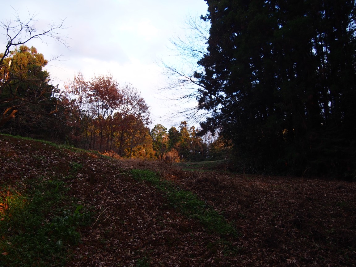 f:id:YumiAIKAWA:20201225235919j:plain