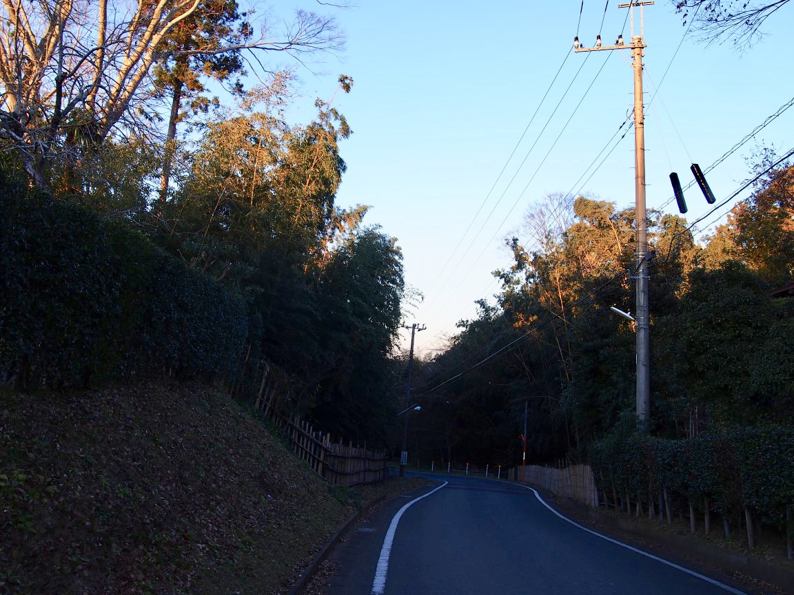 f:id:YumiAIKAWA:20201230053448j:plain