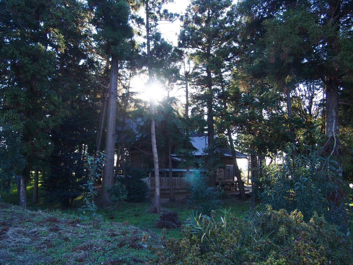 f:id:YumiAIKAWA:20201230220539j:plain