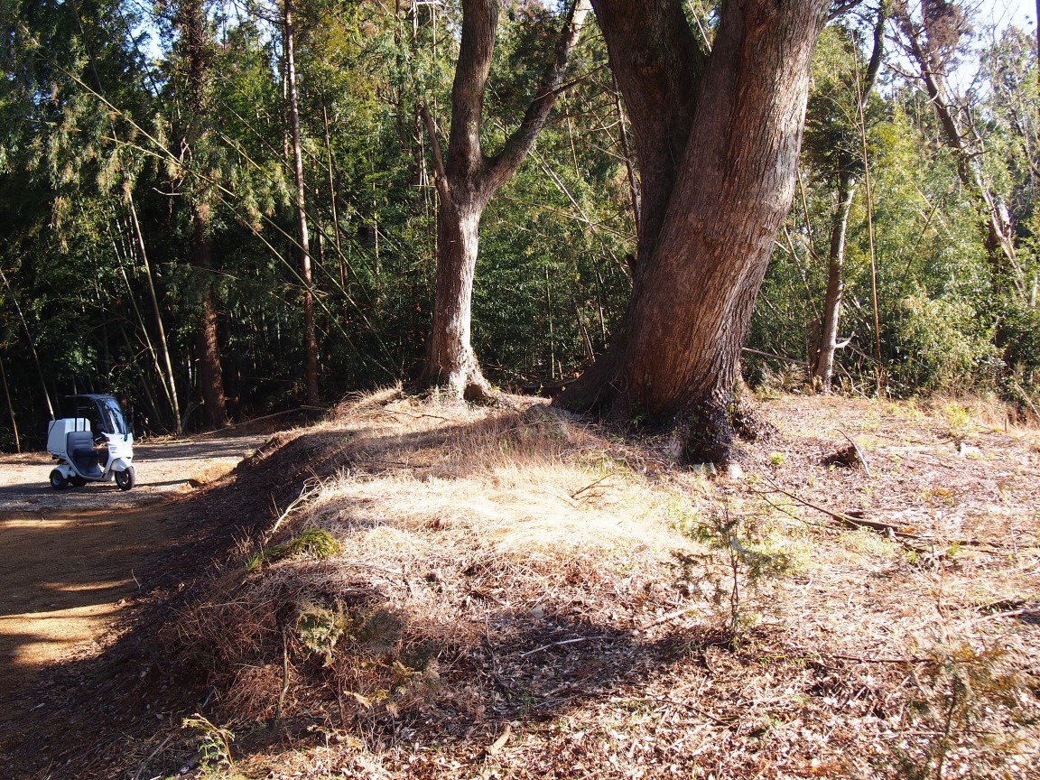 f:id:YumiAIKAWA:20210208045337j:plain