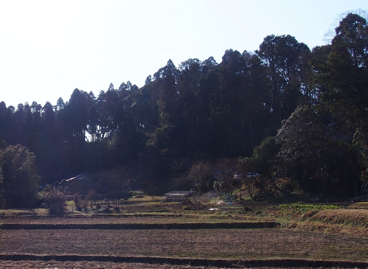 f:id:YumiAIKAWA:20210208051018j:plain