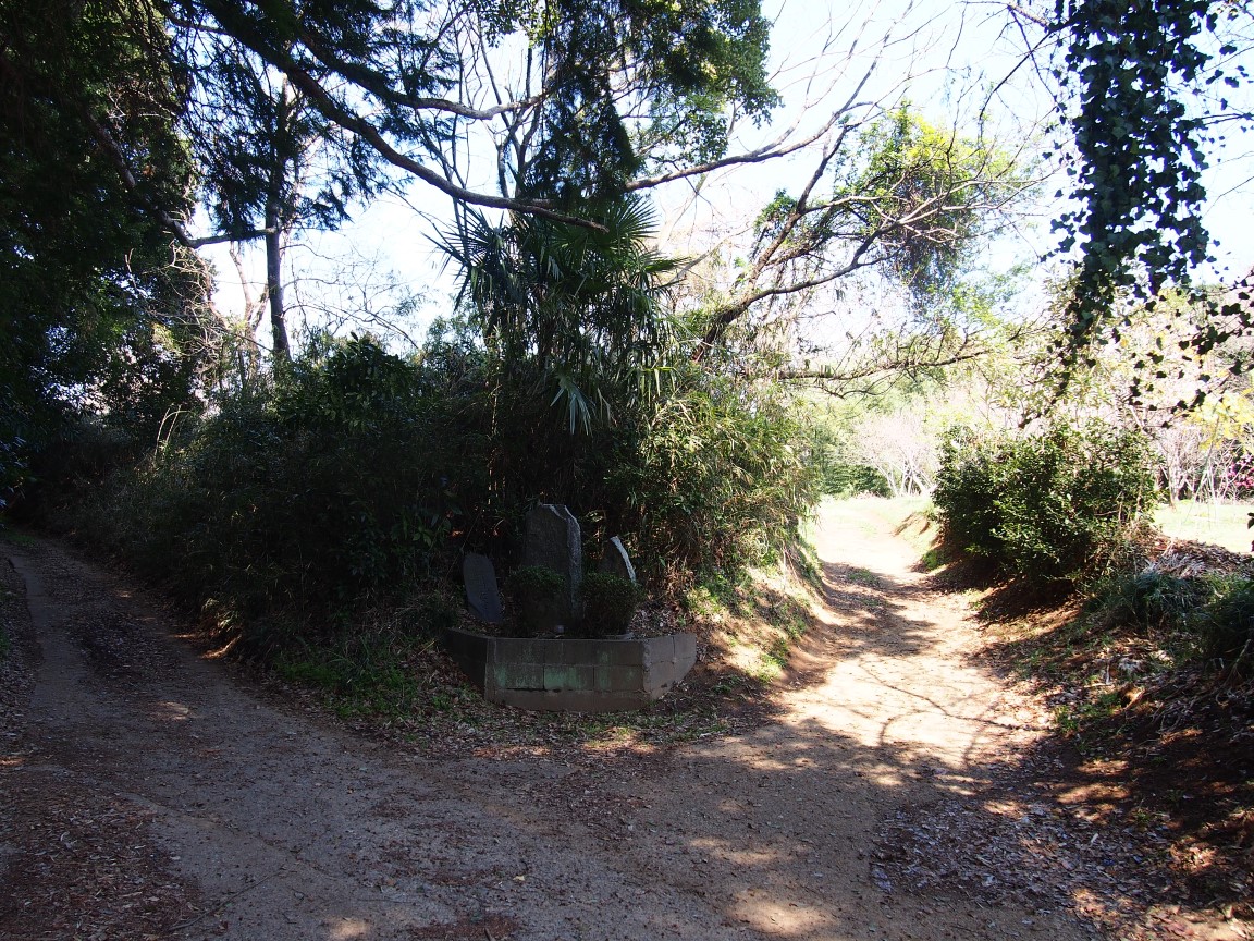 f:id:YumiAIKAWA:20210325035127j:plain