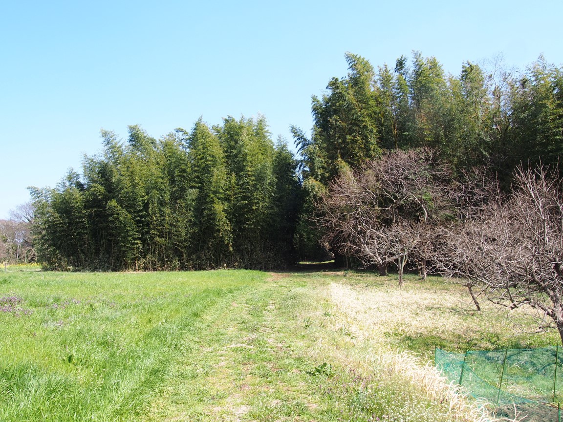 f:id:YumiAIKAWA:20210325035754j:plain