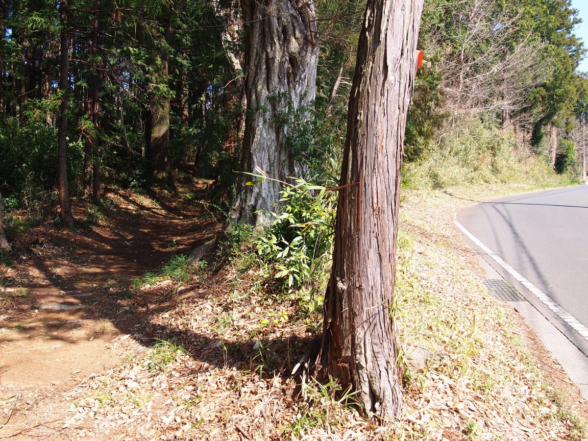 f:id:YumiAIKAWA:20210325055807j:plain