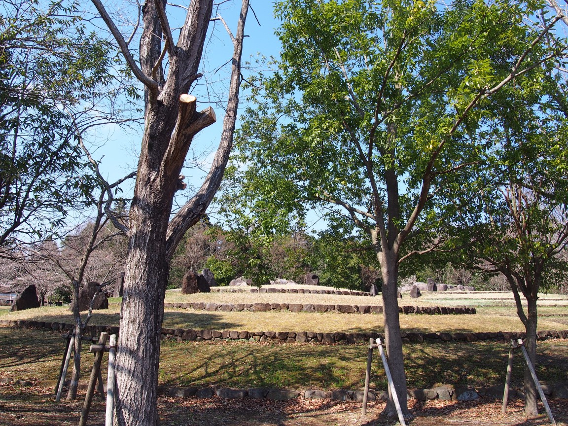 f:id:YumiAIKAWA:20210325063330j:plain