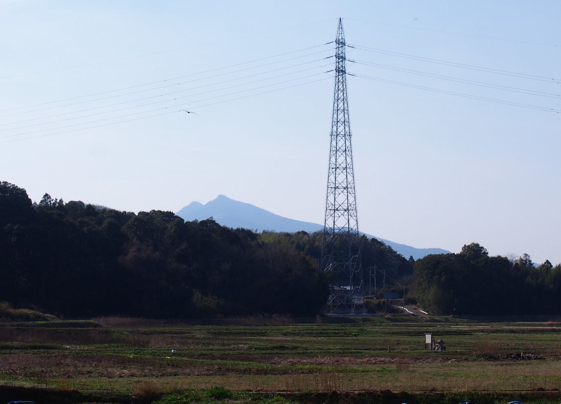 f:id:YumiAIKAWA:20210325093742j:plain