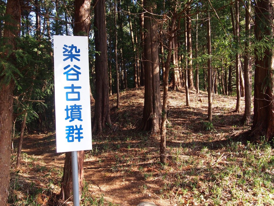 f:id:YumiAIKAWA:20210325095438j:plain