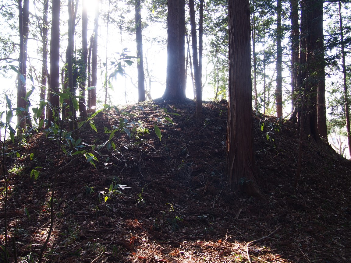 f:id:YumiAIKAWA:20210325101258j:plain