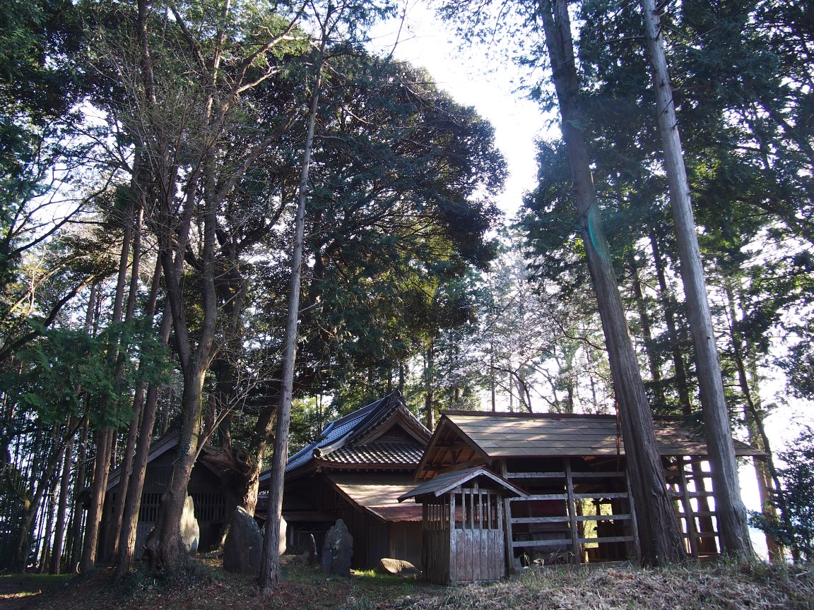 f:id:YumiAIKAWA:20210325111148j:plain