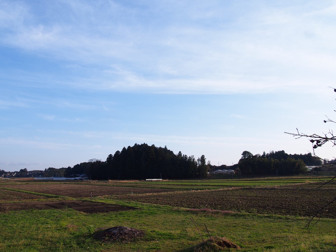 f:id:YumiAIKAWA:20210325112410j:plain