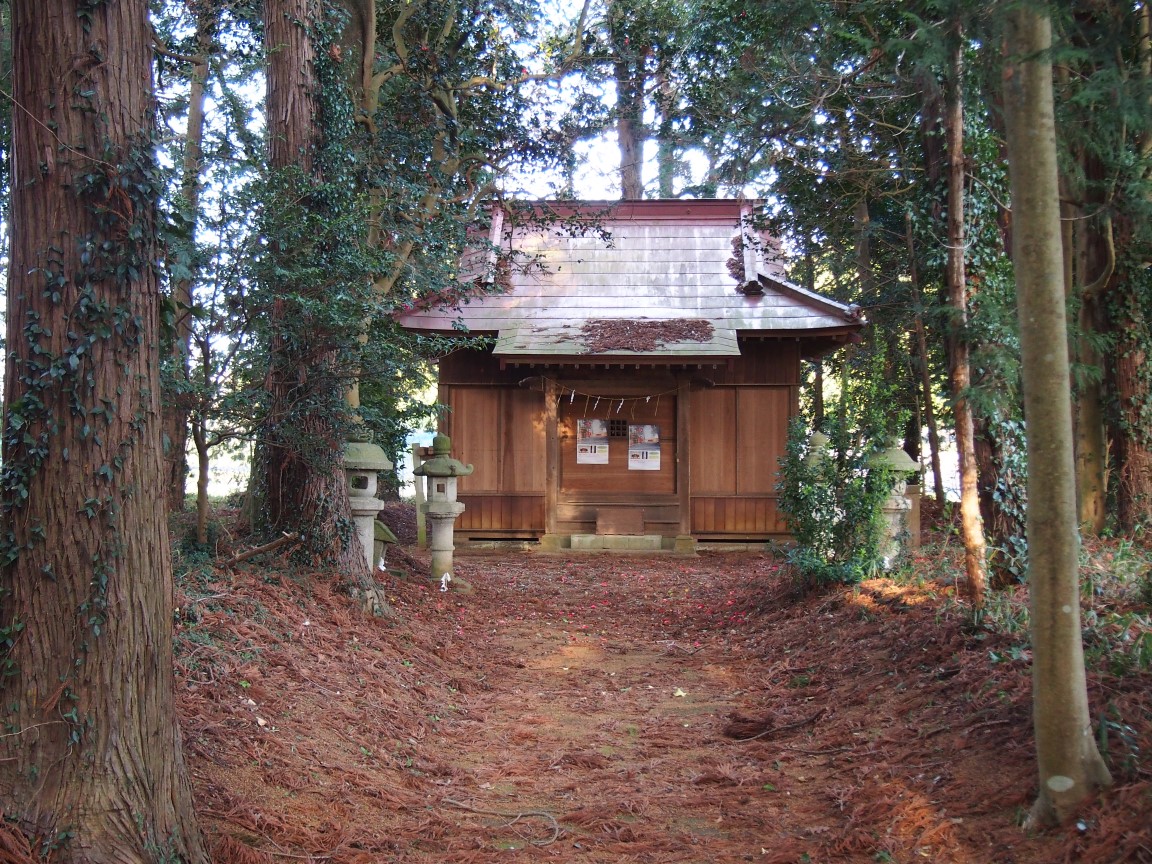 f:id:YumiAIKAWA:20210325113546j:plain