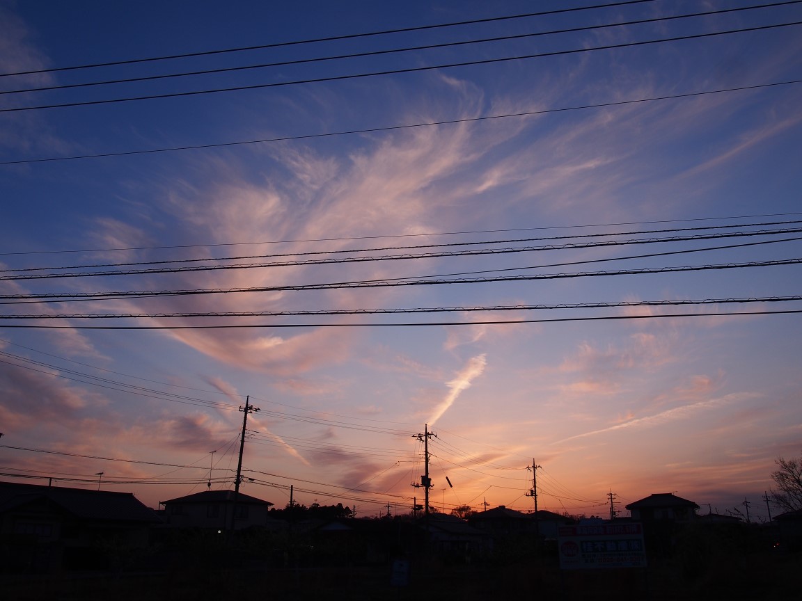 f:id:YumiAIKAWA:20210325114150j:plain