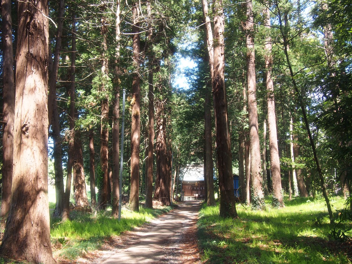 f:id:YumiAIKAWA:20210407223313j:plain