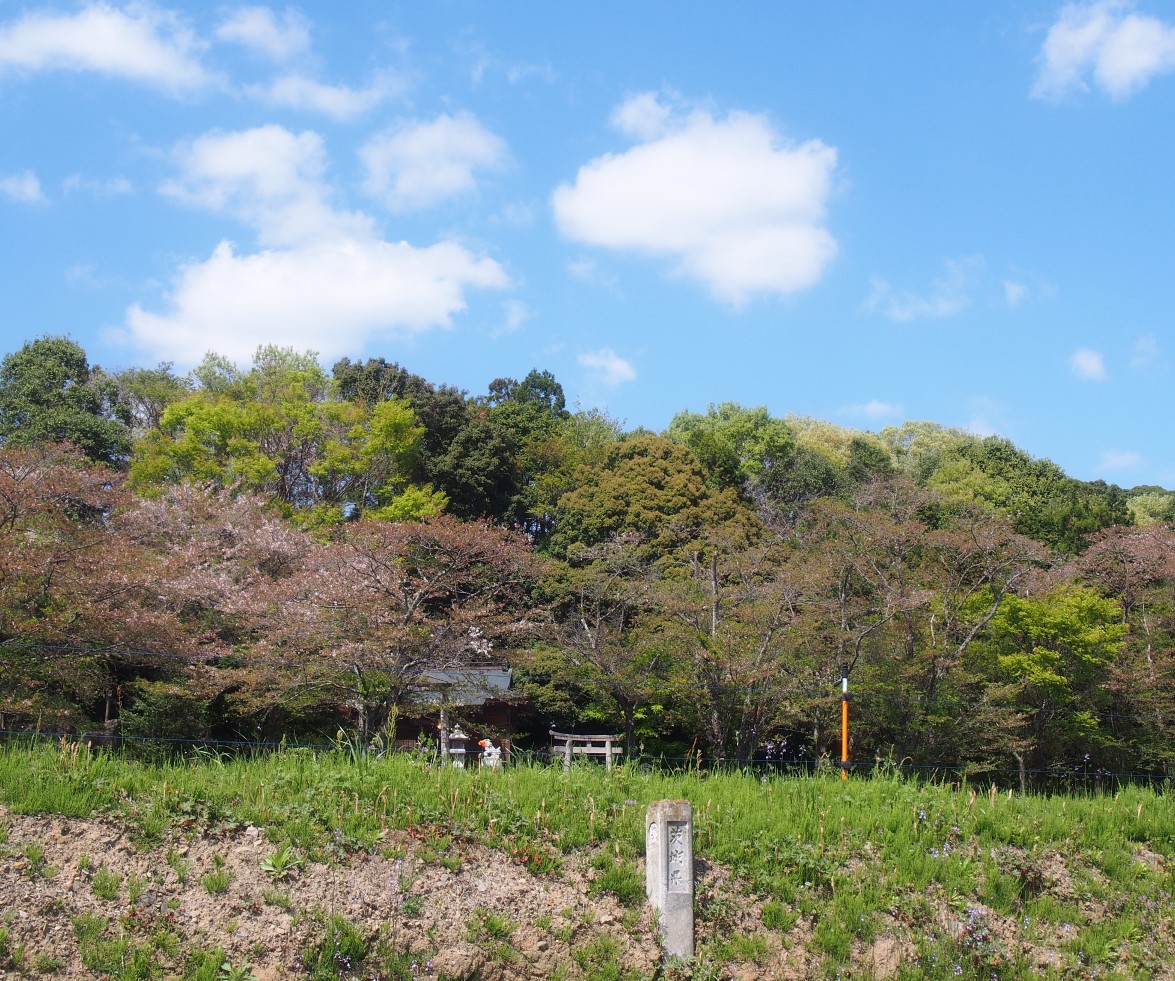 f:id:YumiAIKAWA:20210409034643j:plain