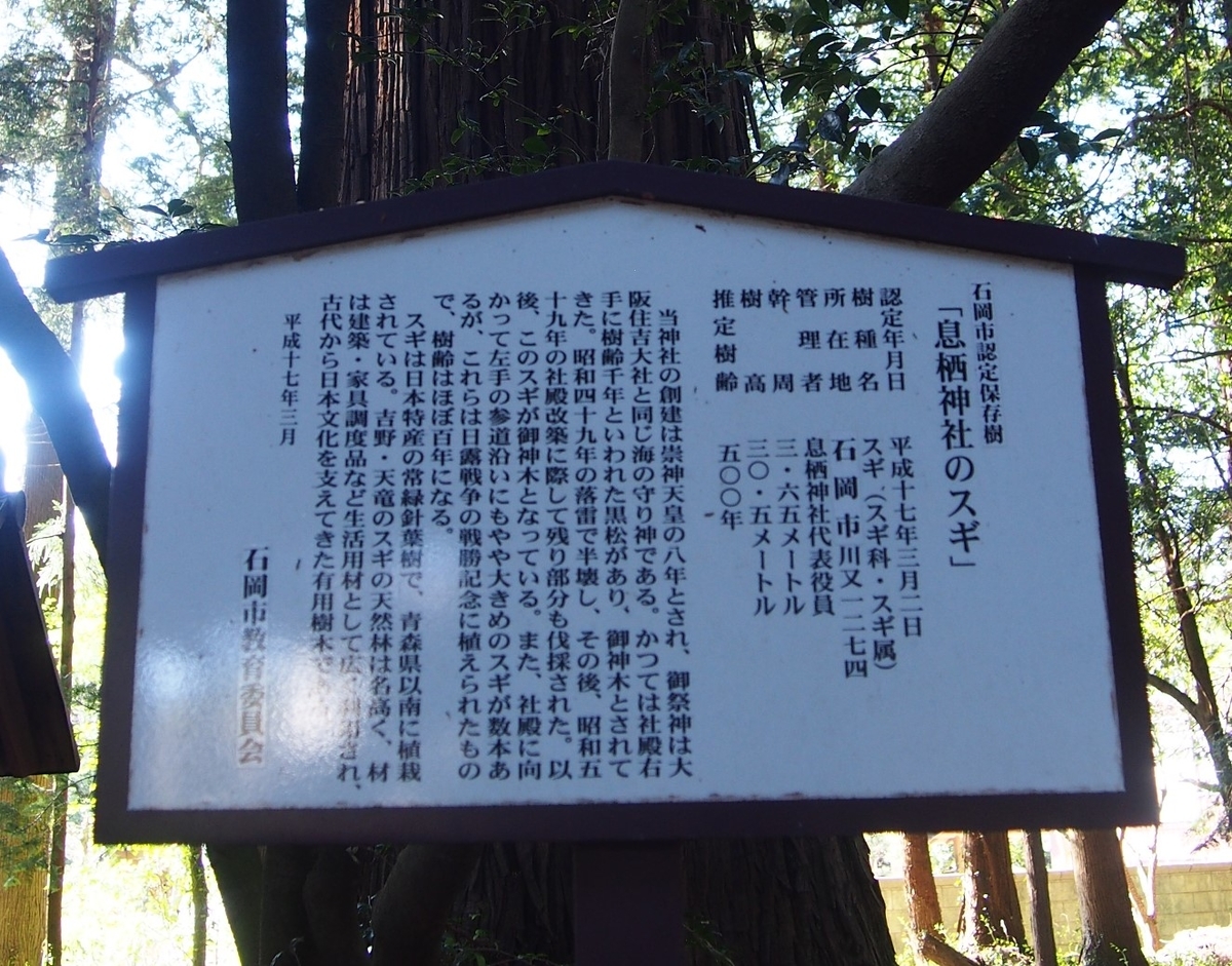 f:id:YumiAIKAWA:20210409131011j:plain