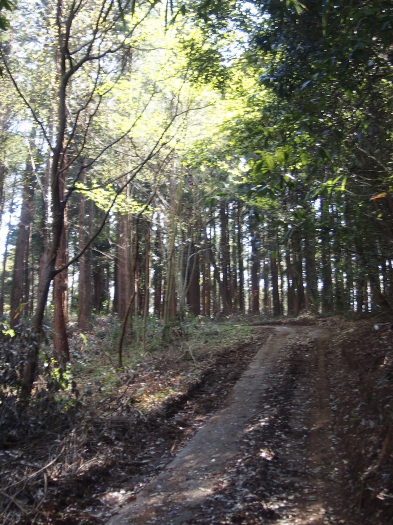 f:id:YumiAIKAWA:20210409184446j:plain