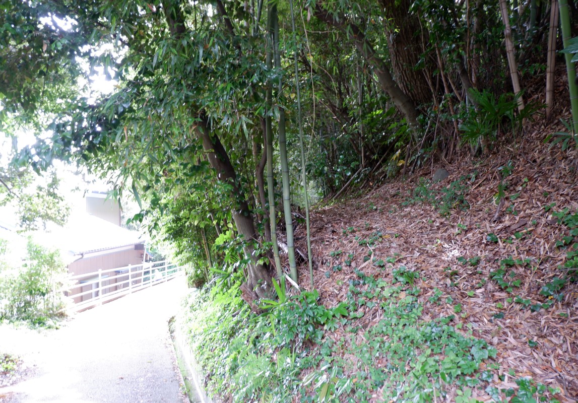 f:id:YumiAIKAWA:20210603050927j:plain