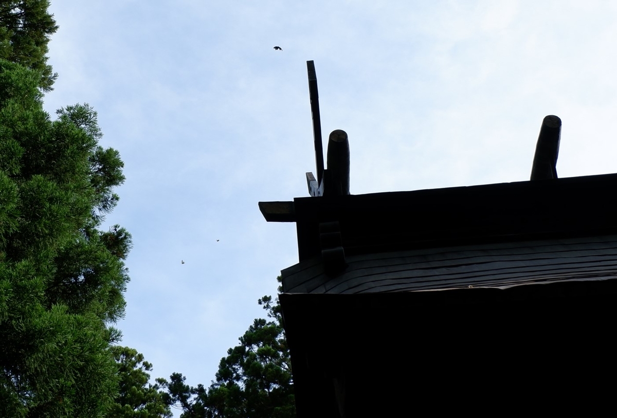 f:id:YumiAIKAWA:20210612055105j:plain