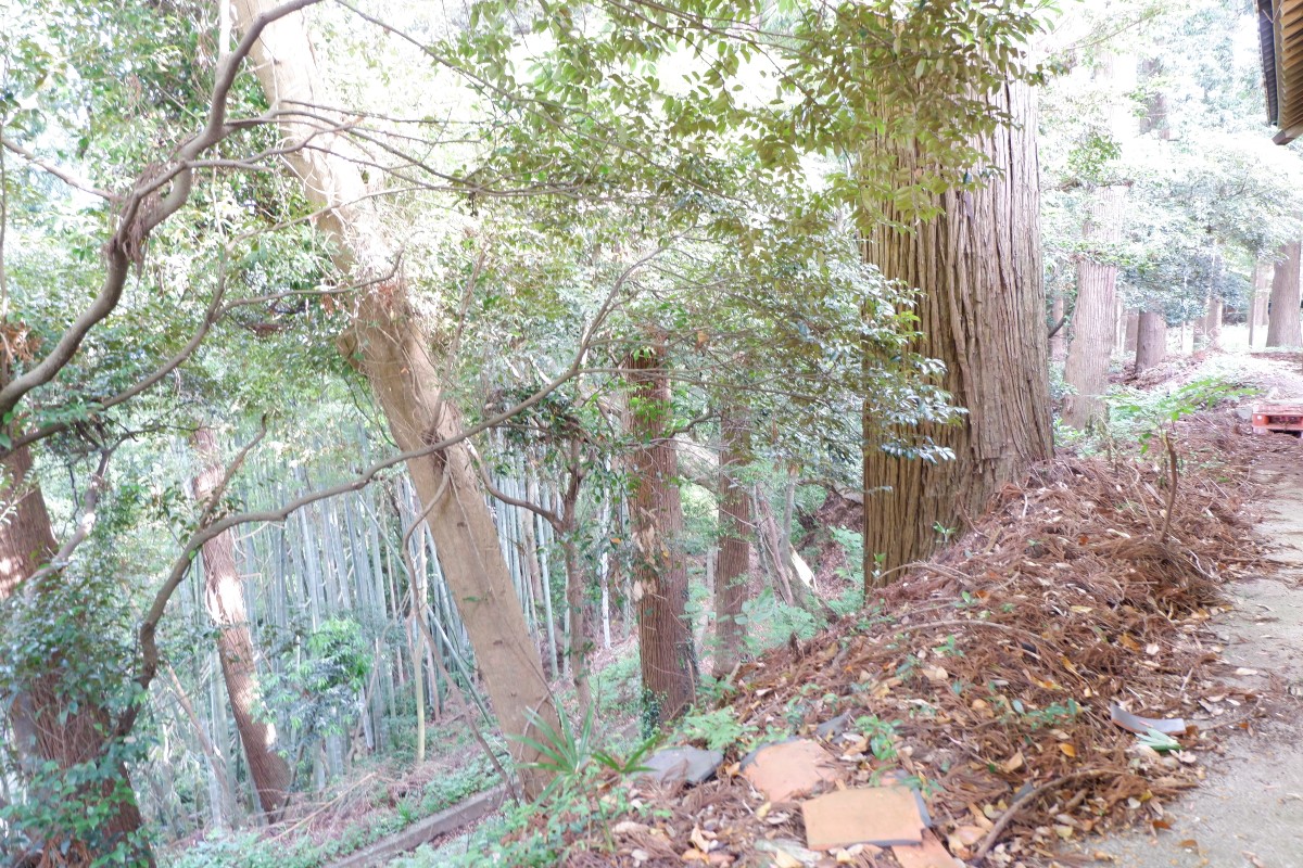 f:id:YumiAIKAWA:20210612060916j:plain