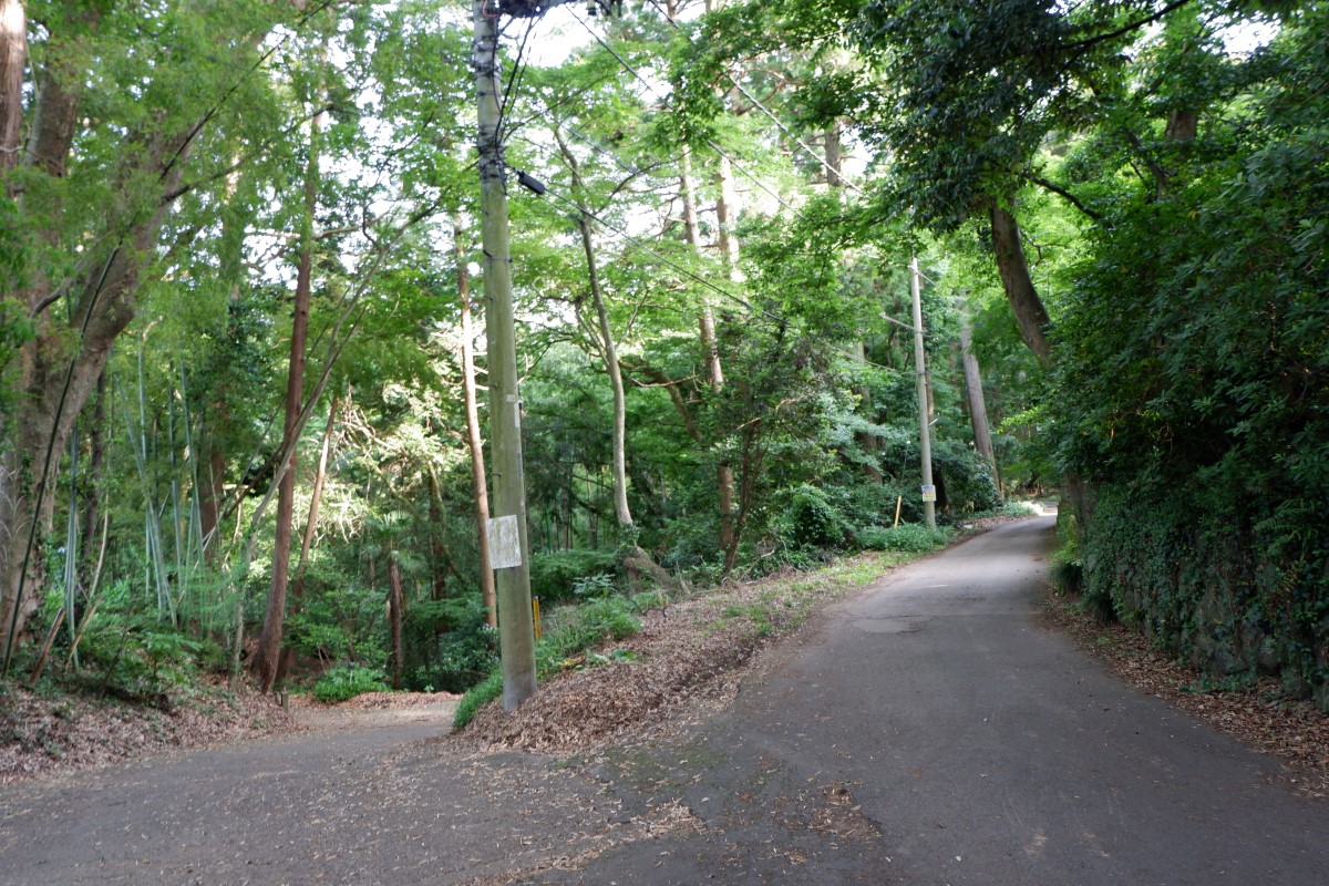 f:id:YumiAIKAWA:20210612062316j:plain