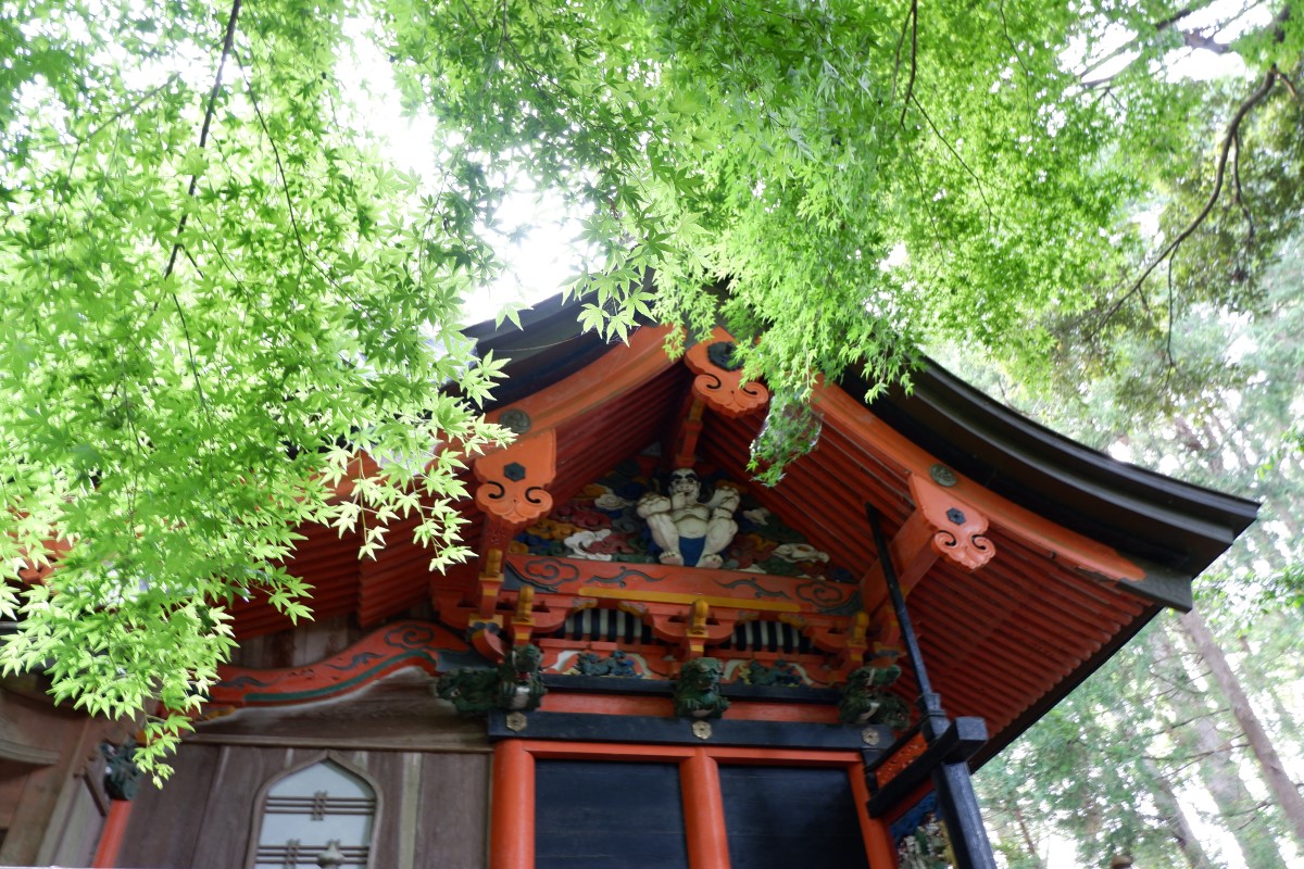 f:id:YumiAIKAWA:20210612074140j:plain