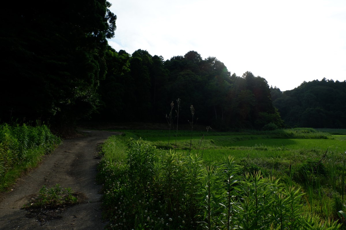 f:id:YumiAIKAWA:20210612095401j:plain