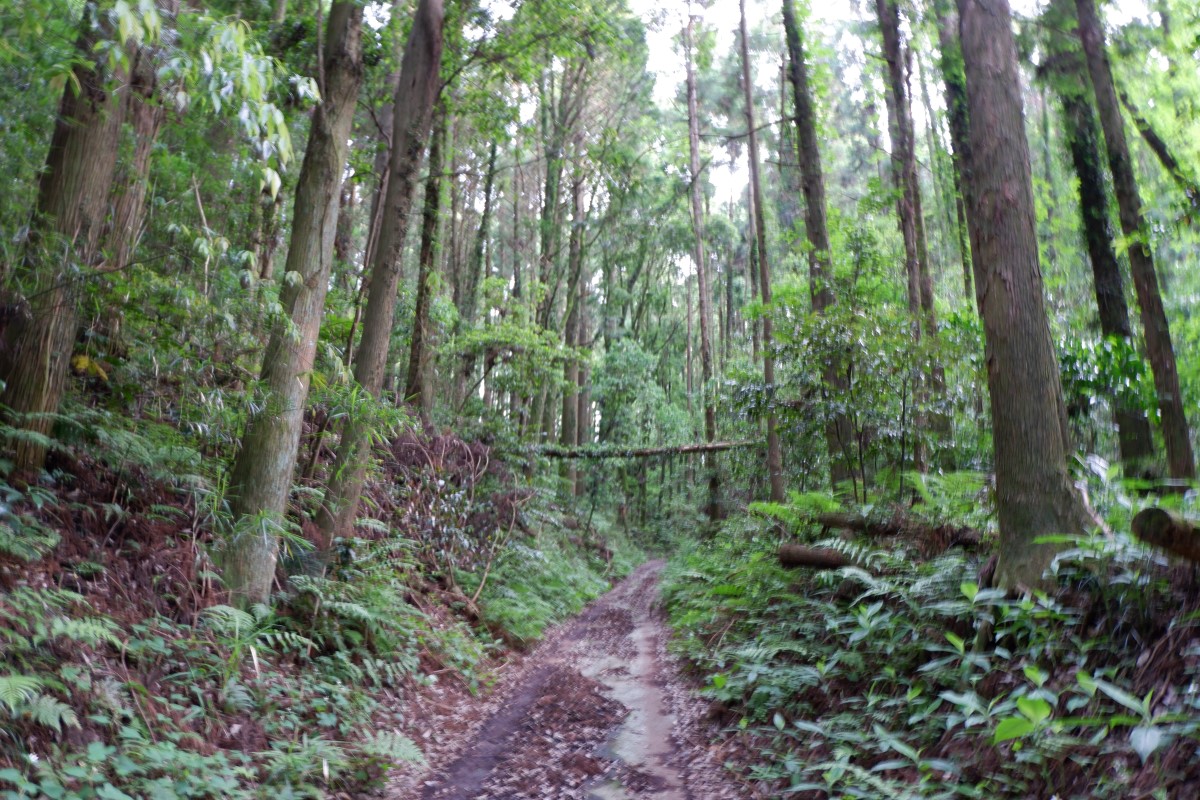 f:id:YumiAIKAWA:20210612095701j:plain