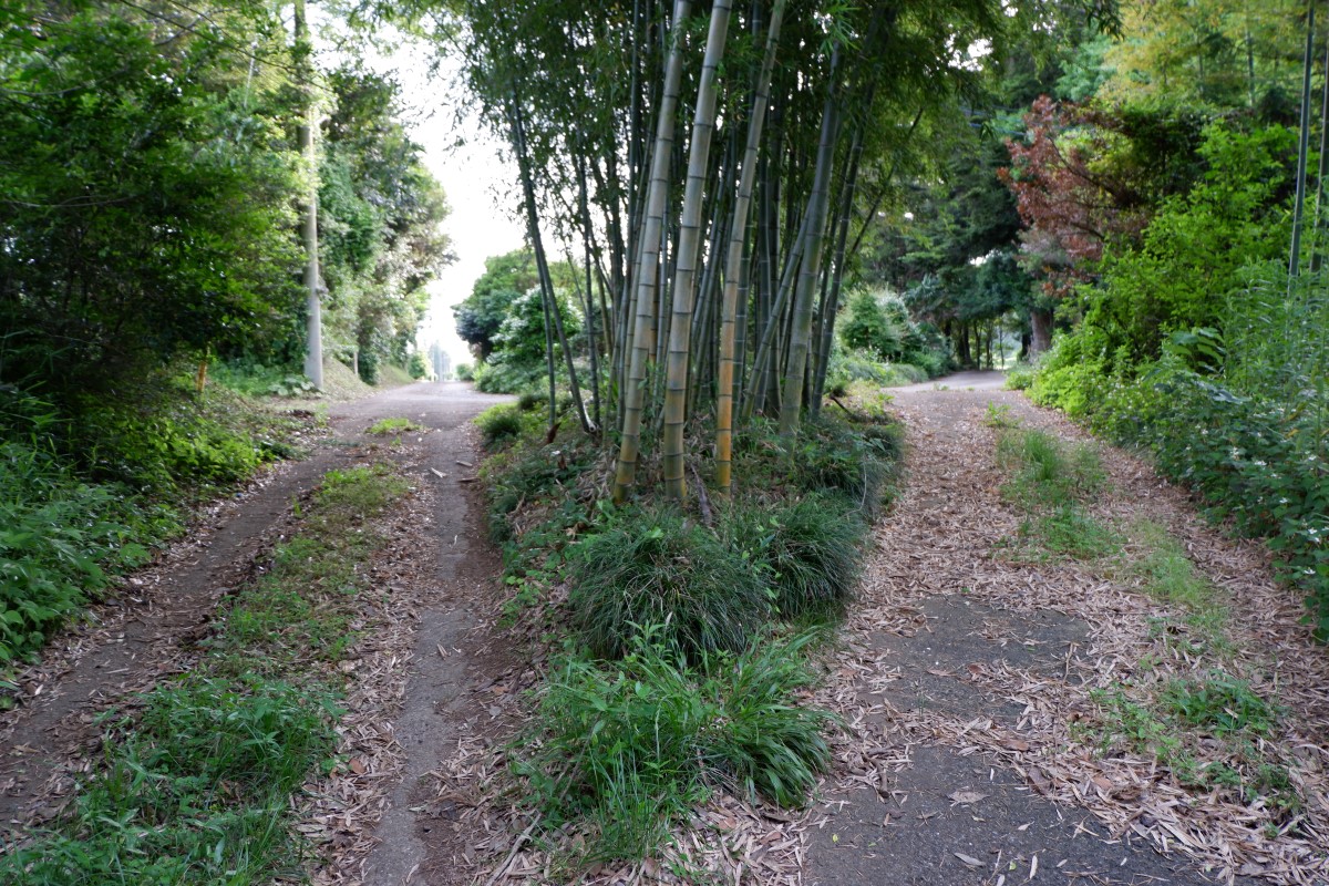 f:id:YumiAIKAWA:20210612100055j:plain