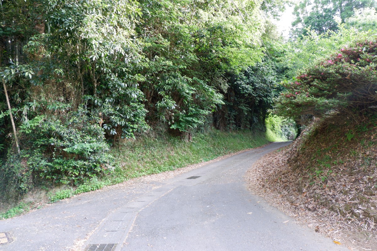 f:id:YumiAIKAWA:20210612102821j:plain